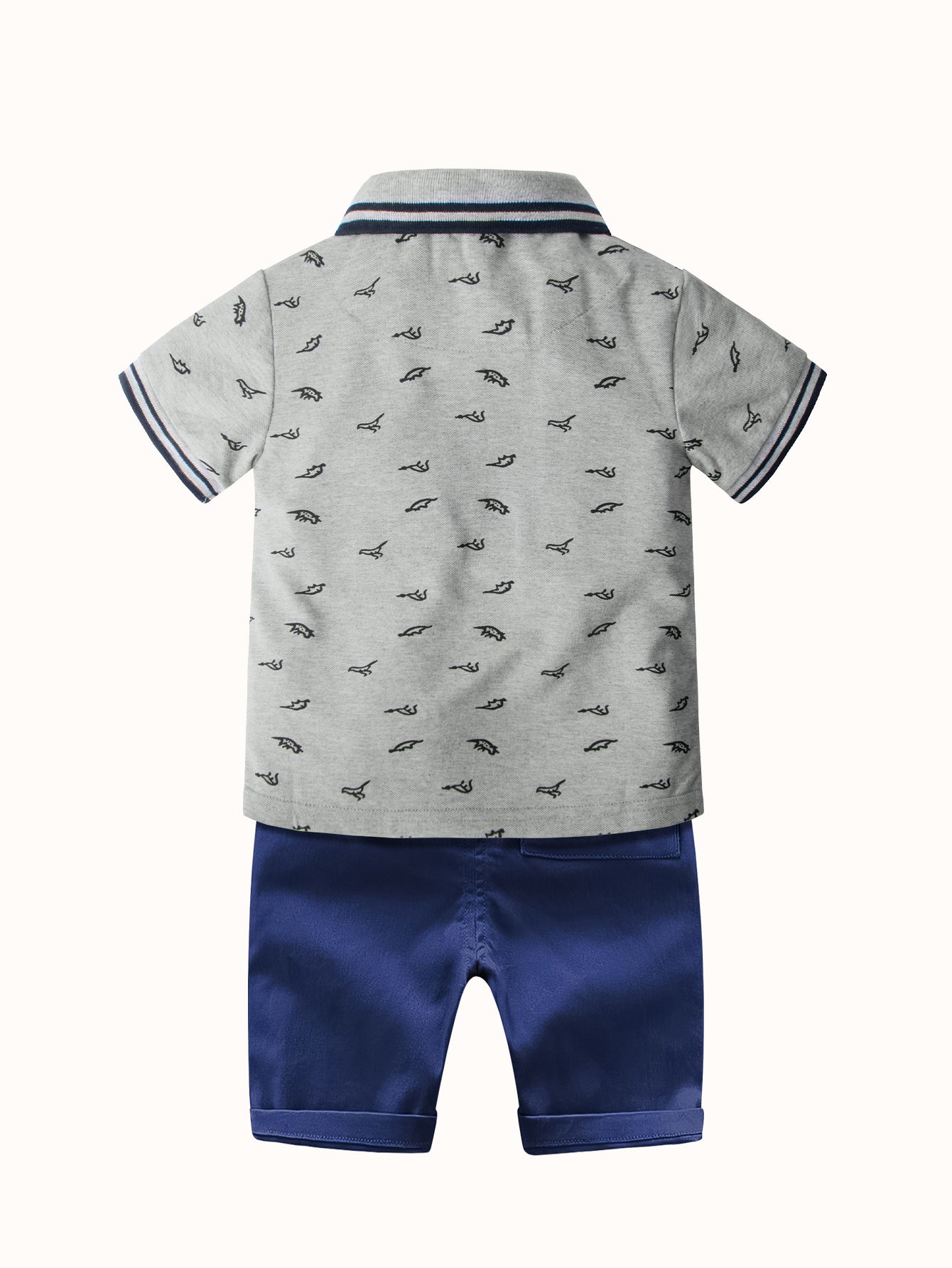 CF646-gray-2