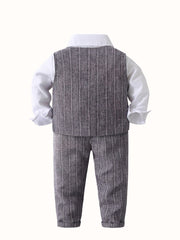 CF817-gray-2