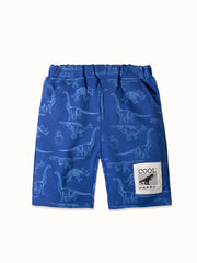 CI082-blue-1