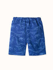 CI082-blue-2