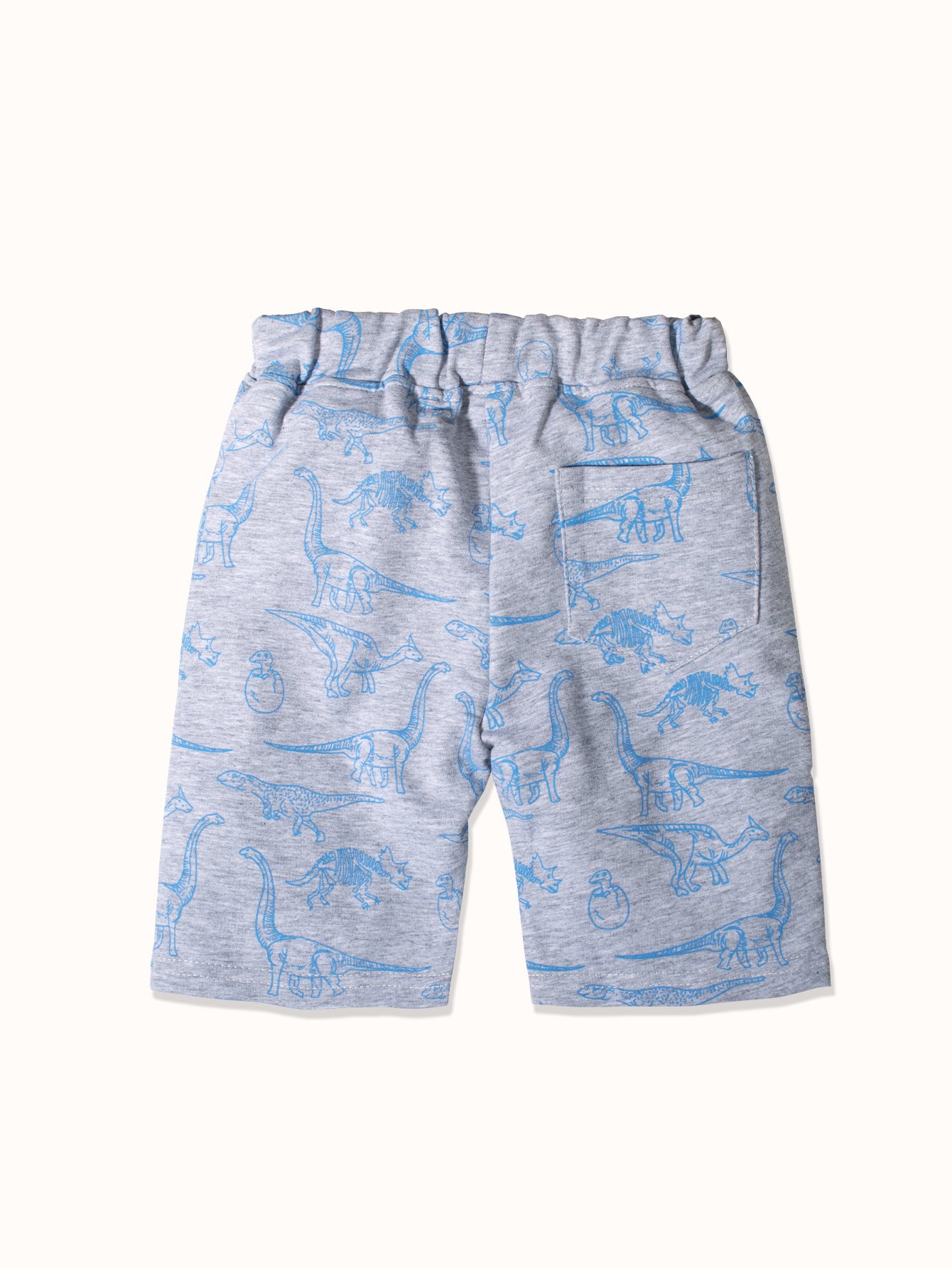 CI082-gray-2