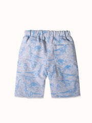CI082-gray-2