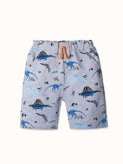 CI083-gray-1