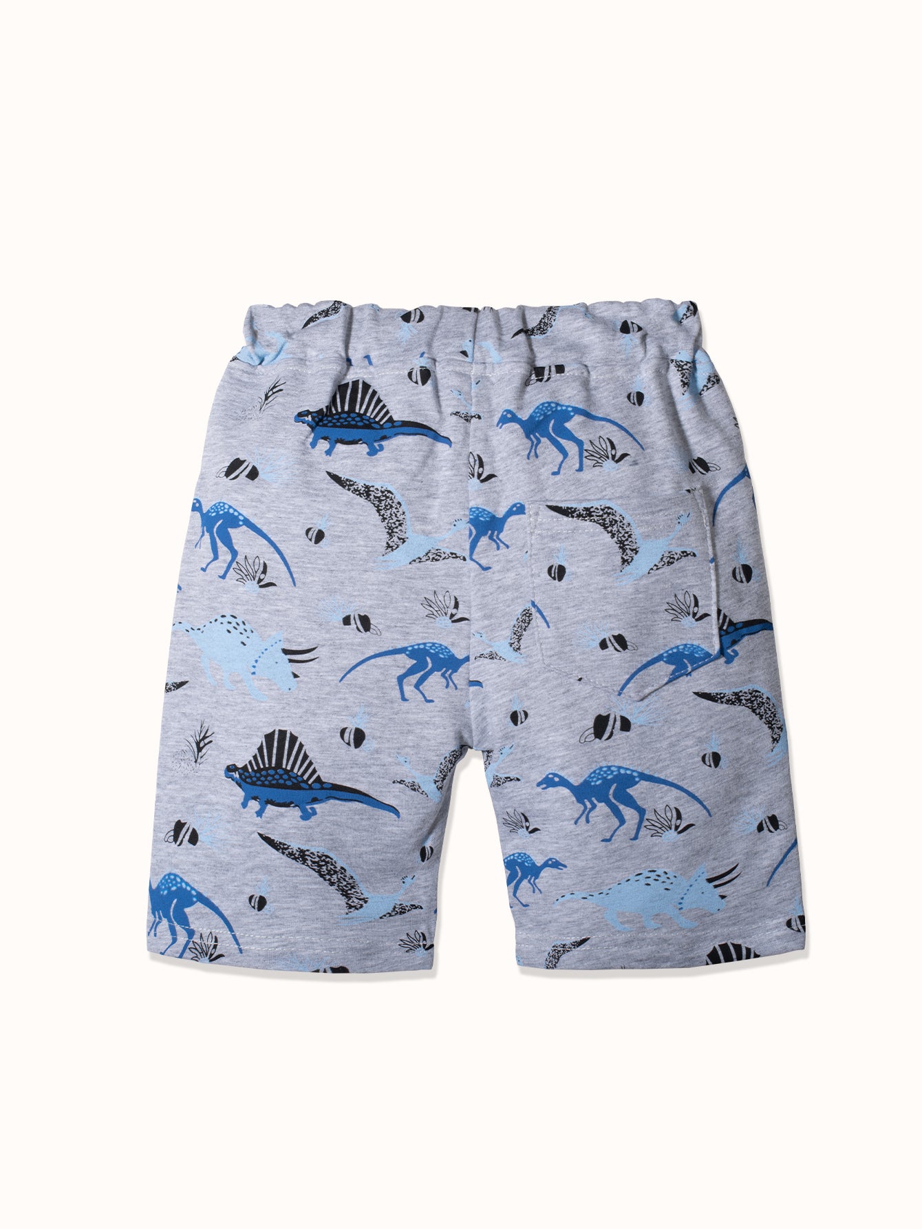 CI083-gray-2